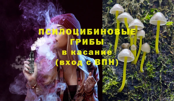 гидра Алексин