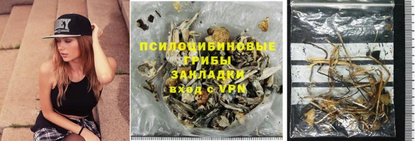 гидра Алексин