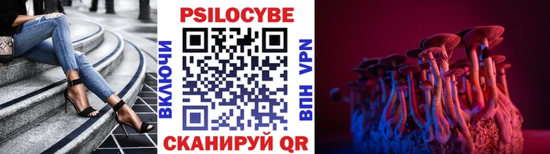 Галлюциногенные грибы Psilocybine cubensis Ивангород