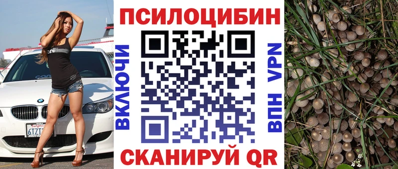 Галлюциногенные грибы Psilocybine cubensis  Ивангород 
